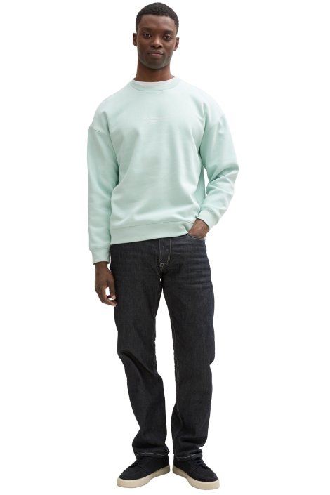 Tom Tailor relaxed printed crewneck sweat
